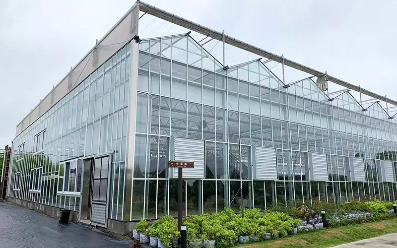 Glass Greenhouse