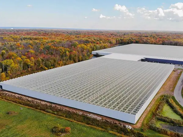 Ano ang mga pakinabang ng greenhouse agriculture