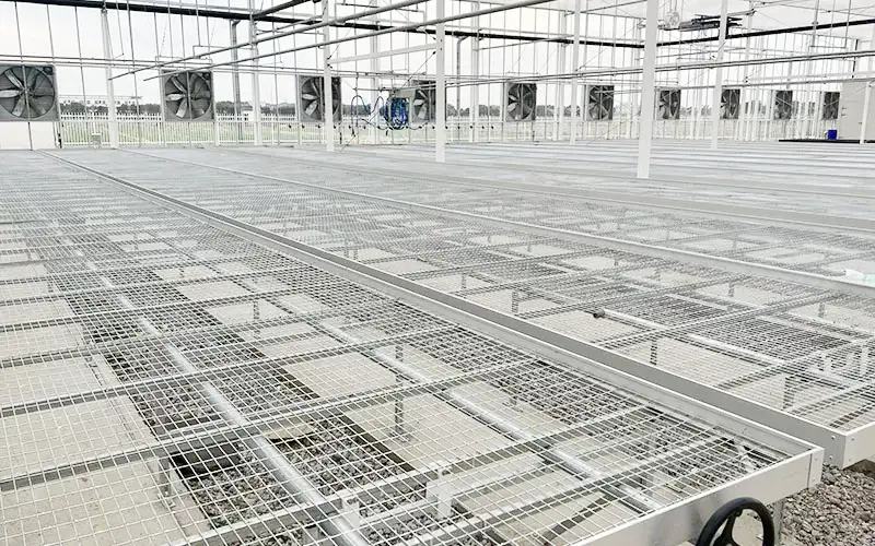 Ano ang mga benepisyo ng Greenhouse System?