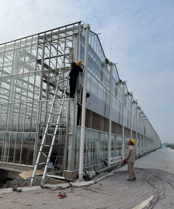 Ang aming multispan glass greenhouse ay malapit nang makumpleto