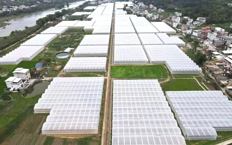 Ang aming Greenhouse Site ng Pelikula sa Shenyang ay Nag-snow