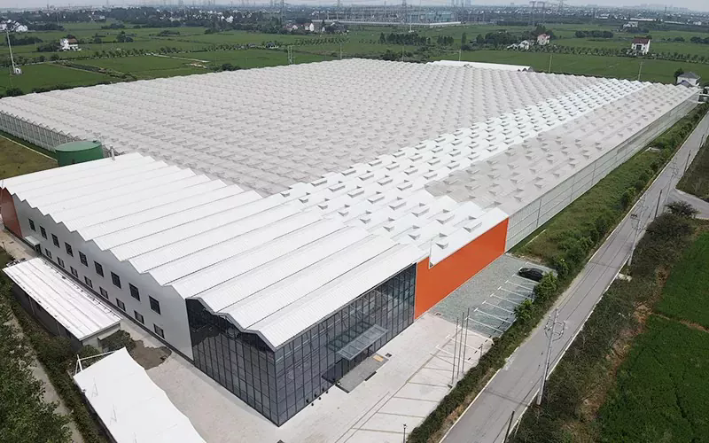 Ano ang mga tampok at gamit ng Glass Greenhouse?
