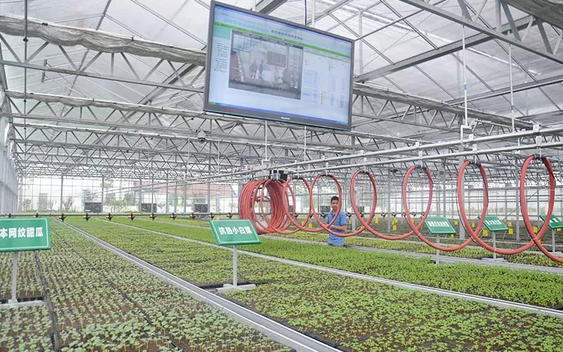 Paano ko magagamit ang Greenhouse Irrigation System Mobile Sprinkler?