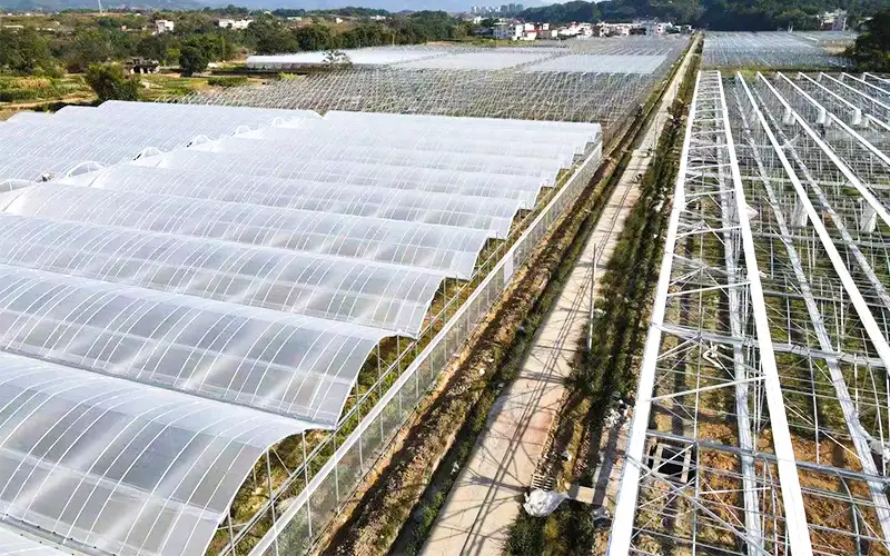 Galugarin ang tagaytay - maaliwalas na plastik na greenhouse upang madagdagan ang produksyon at malutas ang problema ng mataas na temperatura
