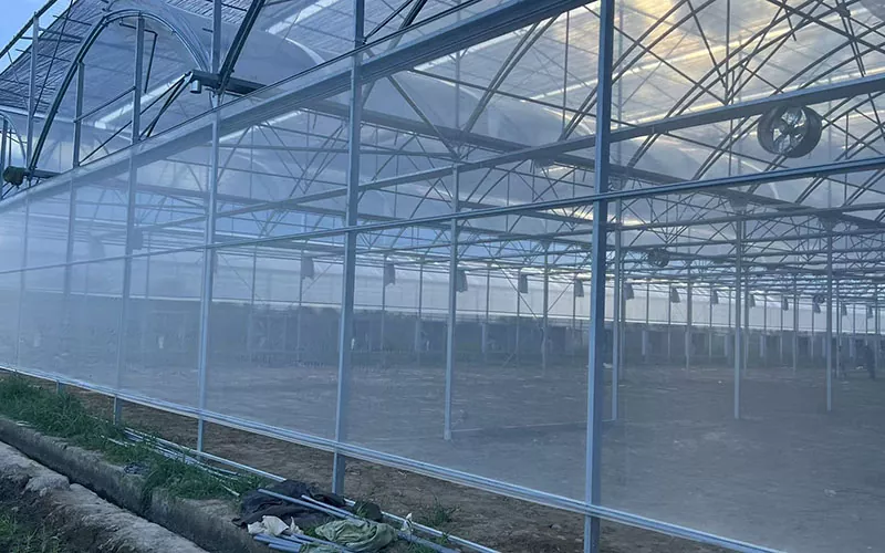 Ang Greenhouse Insect Net ay humahantong sa isang bagong kalakaran sa control ng peste