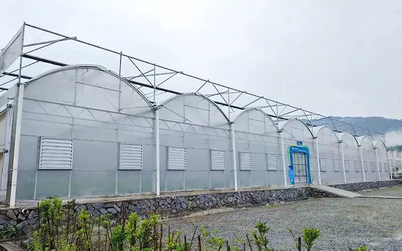 Ang teknolohikal na pagbabagong -anyo ng mga plastik na greenhouse: ang lihim na sandata para sa pagdodoble ng mga ani