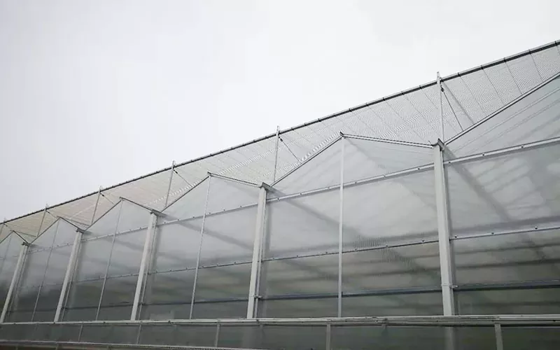 Advanced na PC Greenhouse Technology Pioneers Sustainable Agriculture
