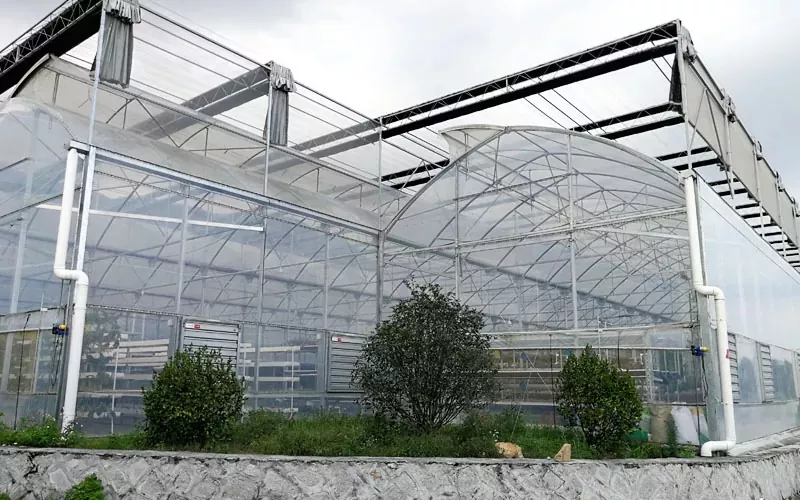 Nakapirming Roof Window Film Greenhouse