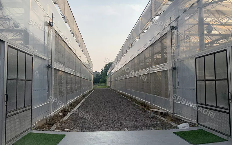 Commercial Multispan PO Plastic Agriculture Greenhouse