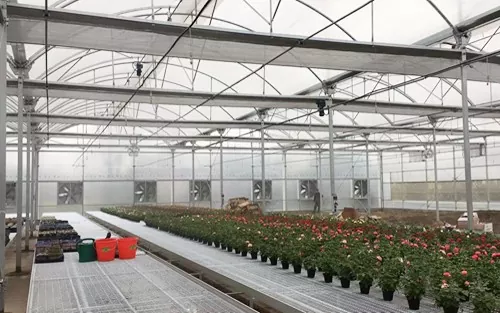 Welded Wire Mesh Steel Greenhouse Rolling Benches